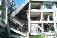 Image / illustration