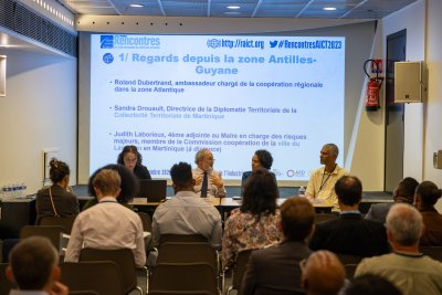 Image / illustration